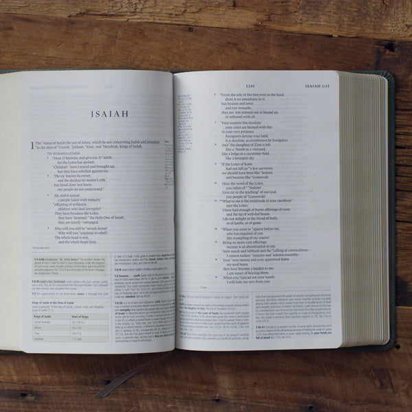 ESV Study Bible, Personal Size TruTone®, Quiet Forest, Ornament Design