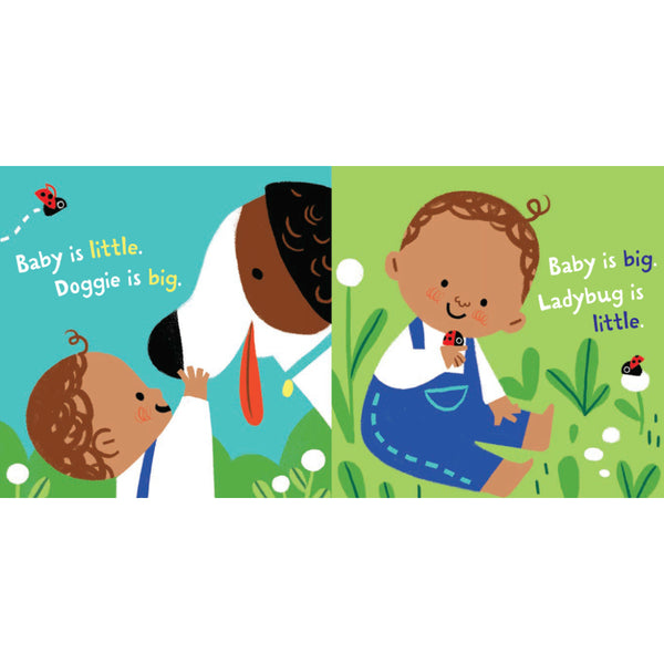 Indestructibles Book Series