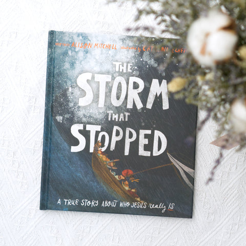 The Storm That Stopped: A true story about who Jesus really is