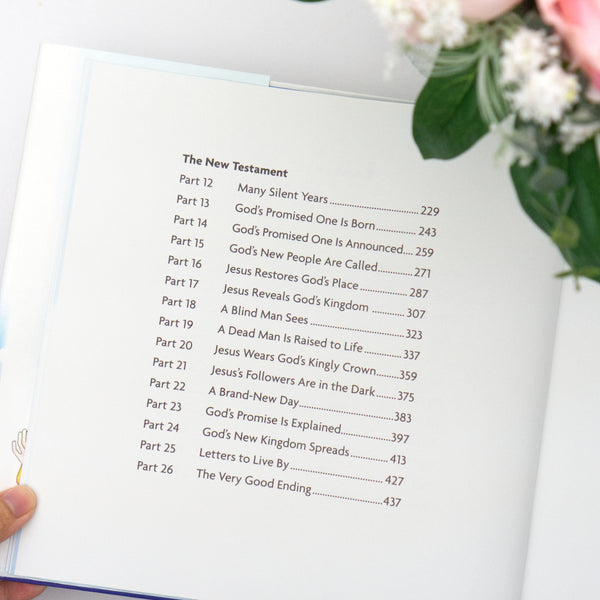The Big Picture Story Bible