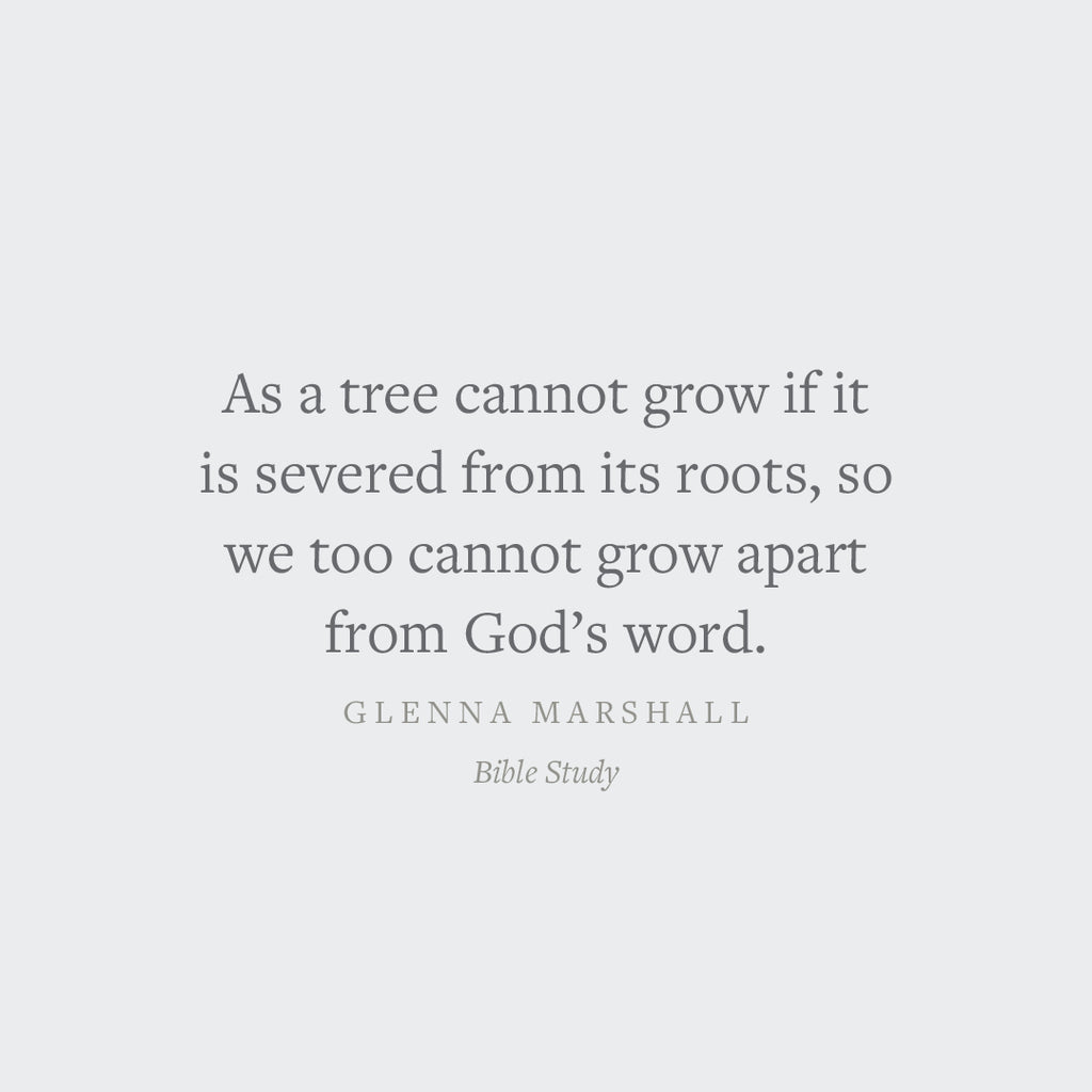 Bible Study