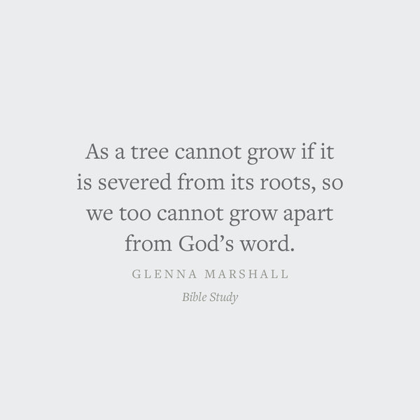Bible Study