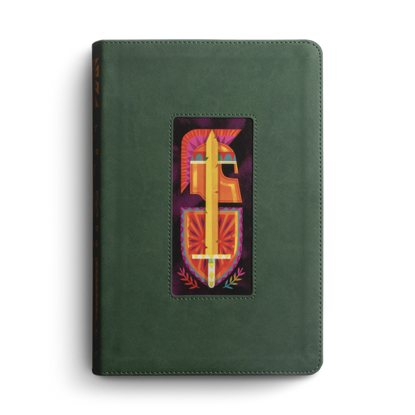 ESV The Biggest Story Holy Bible for Kids