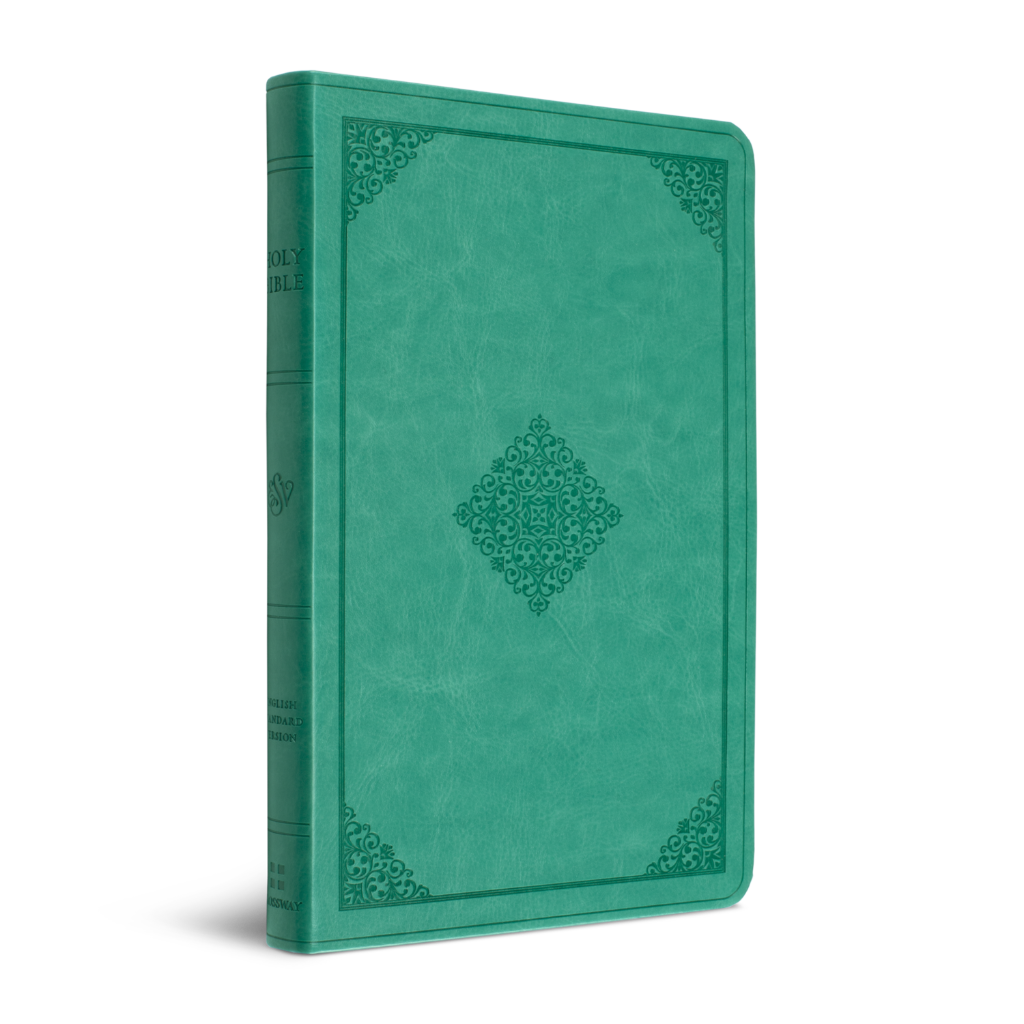 ESV Value Thinline Bible, TruTone®, Teal, Ornament Design