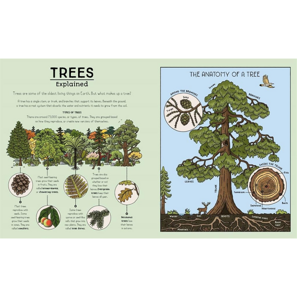 Nature Explained A Family Guide to 20 Nature Cycles