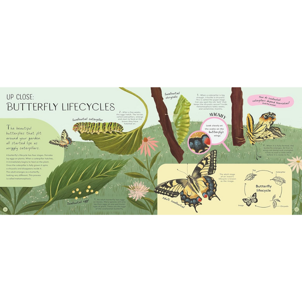 Minibeasts: Under the Magnifying Glass