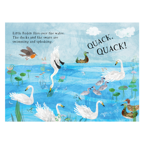 Little Robin's Book of Birds