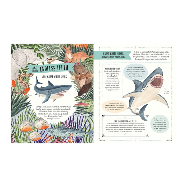 Wild: A family guide to the animal kingdom