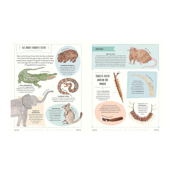 Wild: A family guide to the animal kingdom