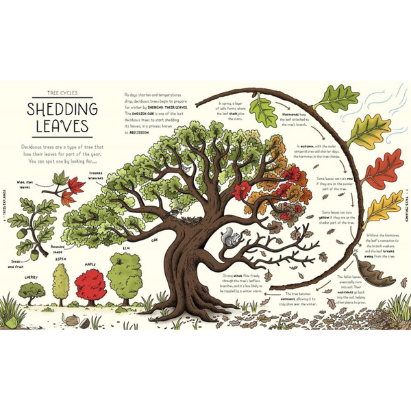 Nature Explained A Family Guide to 20 Nature Cycles