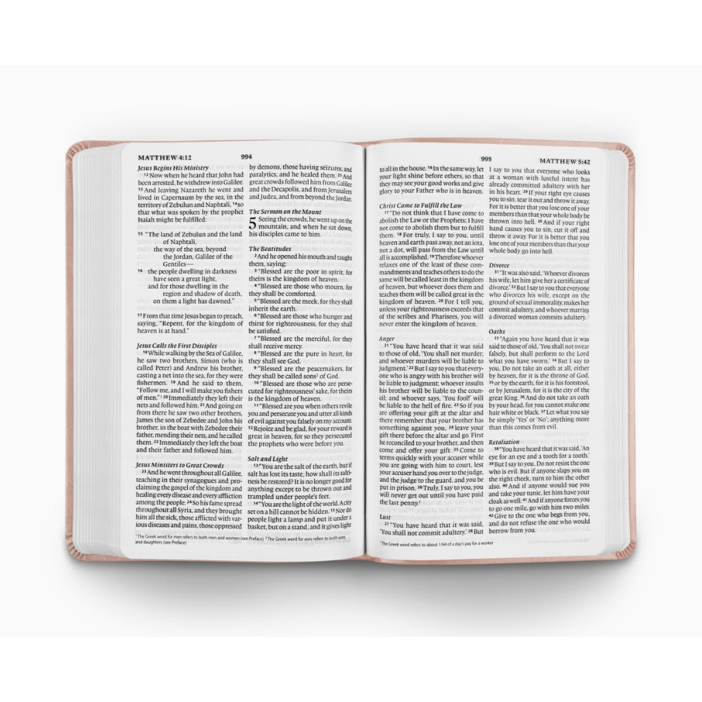 ESV Large Print Value Thinline Bible TruTone®, Blush Rose, Fleur-de-lis Design