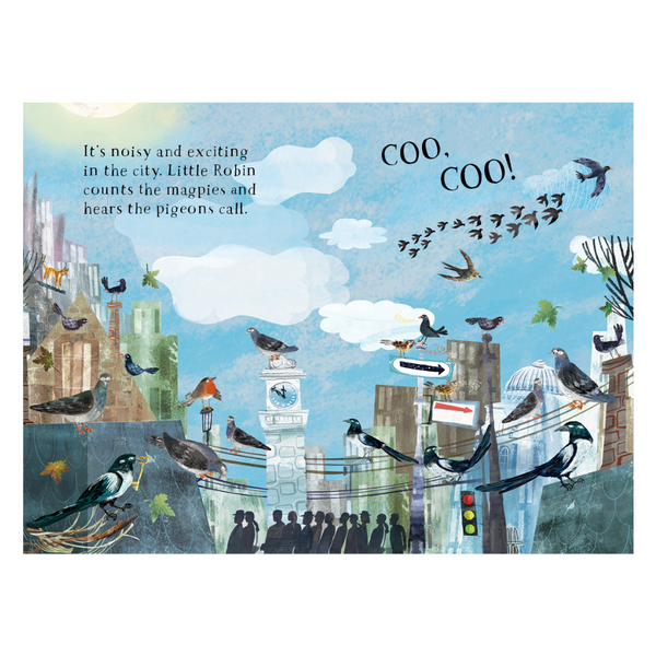 Little Robin's Book of Birds