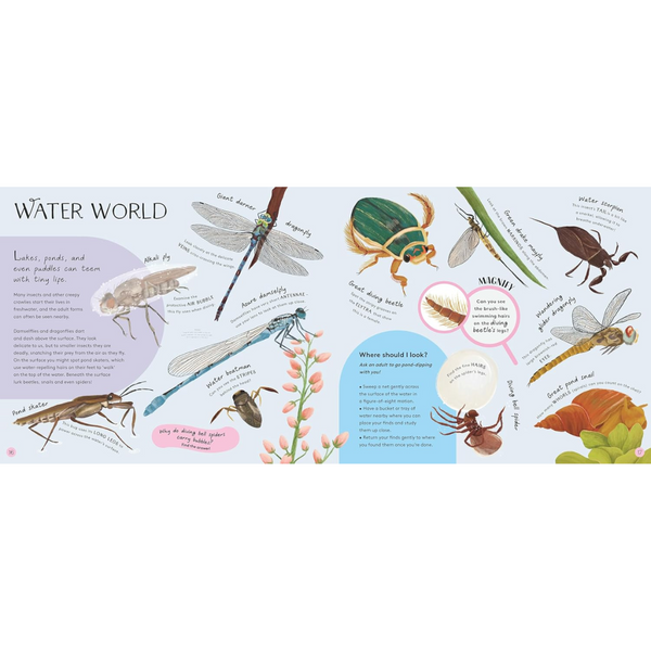Minibeasts: Under the Magnifying Glass