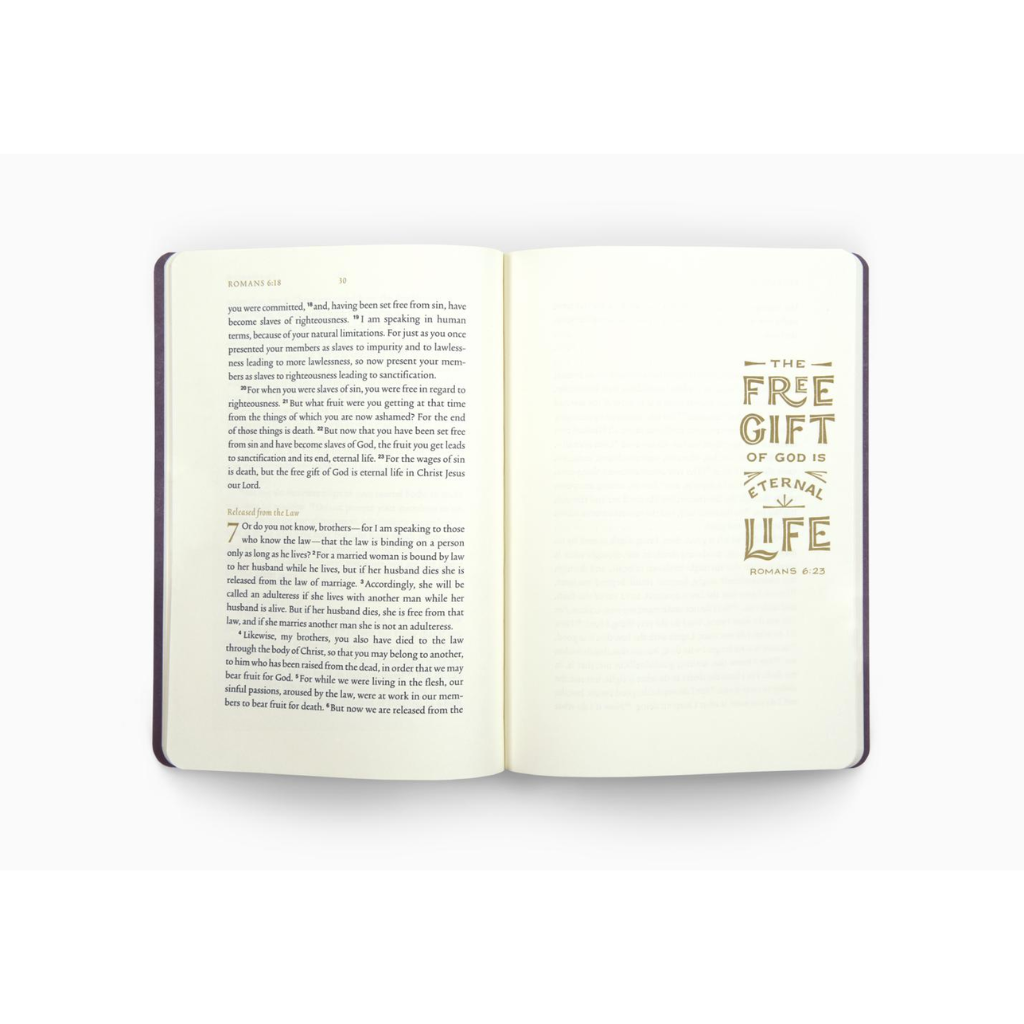 ESV Illuminated Scripture Journal: Romans