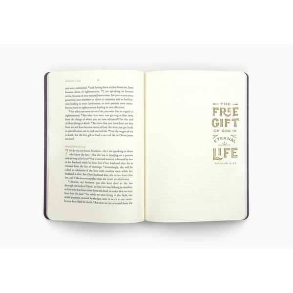 ESV Illuminated Scripture Journal: Romans