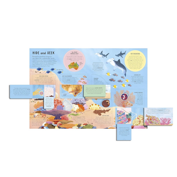 Lift-the-flap Encyclopaedia of Oceans