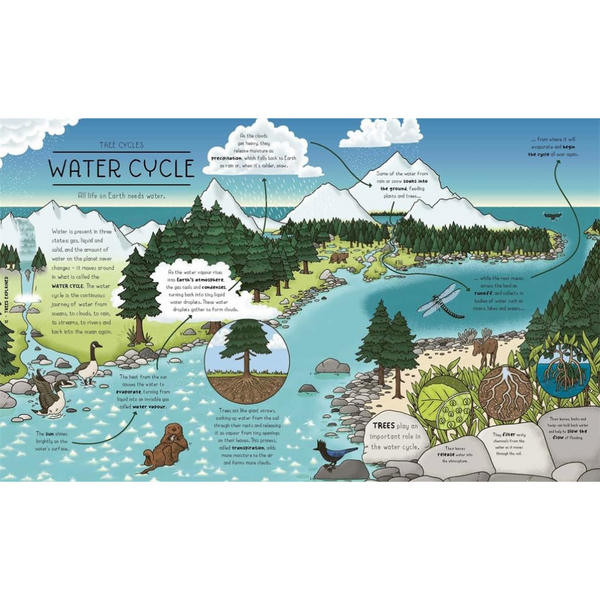 Nature Explained A Family Guide to 20 Nature Cycles