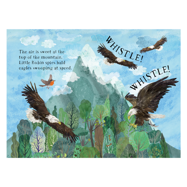 Little Robin's Book of Birds