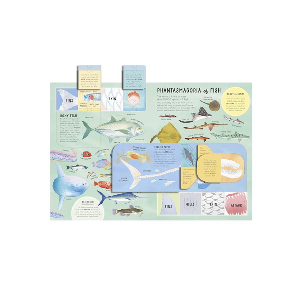 Lift-the-flap Encyclopaedia of Oceans