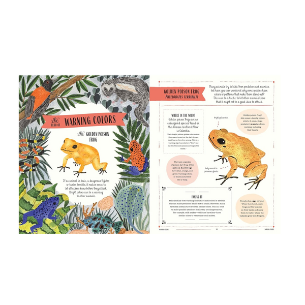 Wild: A family guide to the animal kingdom