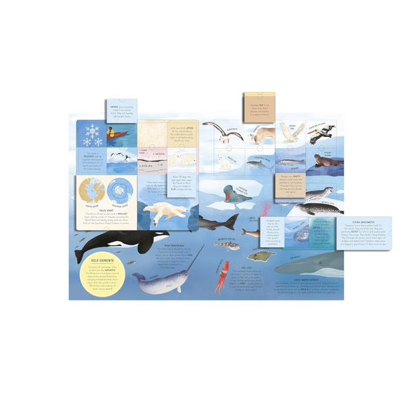 Lift-the-flap Encyclopaedia of Oceans