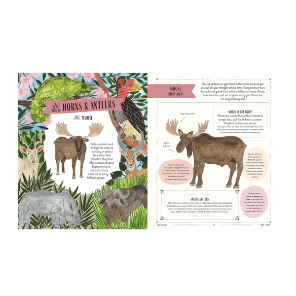 Wild: A family guide to the animal kingdom