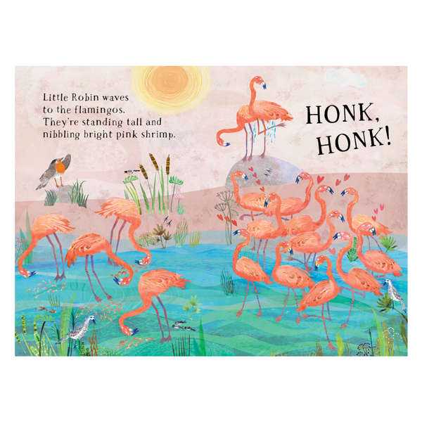 Little Robin's Book of Birds