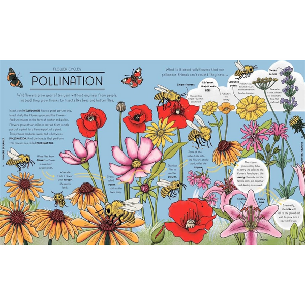 Nature Explained A Family Guide to 20 Nature Cycles