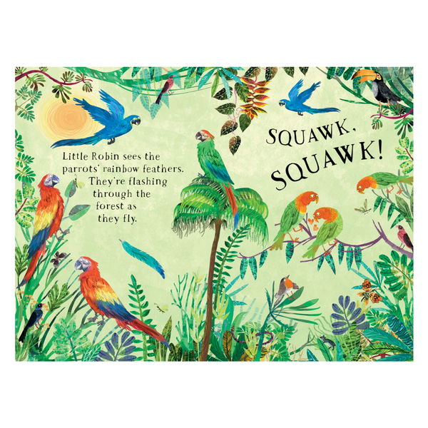 Little Robin's Book of Birds