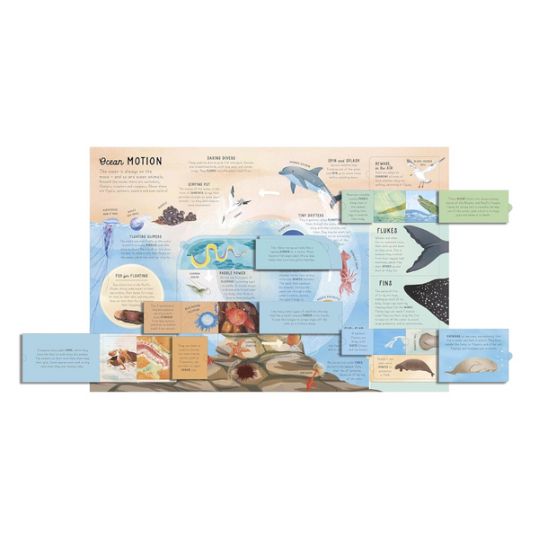 Lift-the-flap Encyclopaedia of Oceans