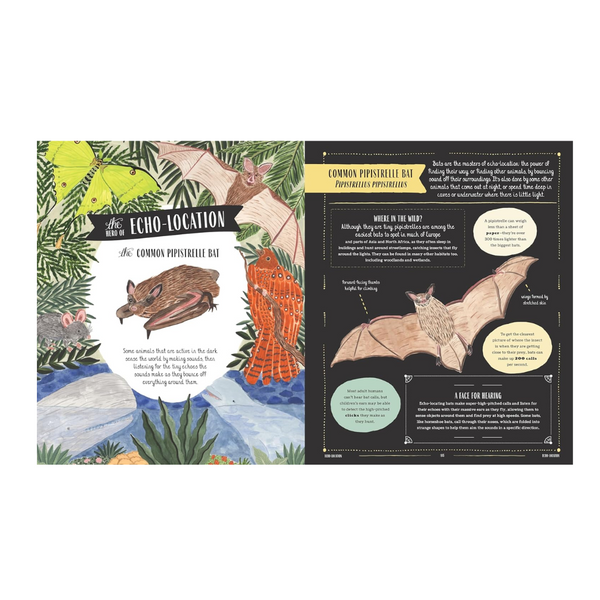 Wild: A family guide to the animal kingdom