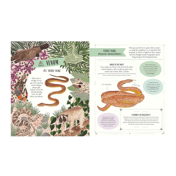 Wild: A family guide to the animal kingdom