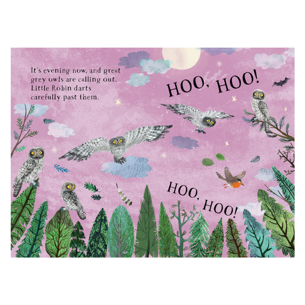 Little Robin's Book of Birds