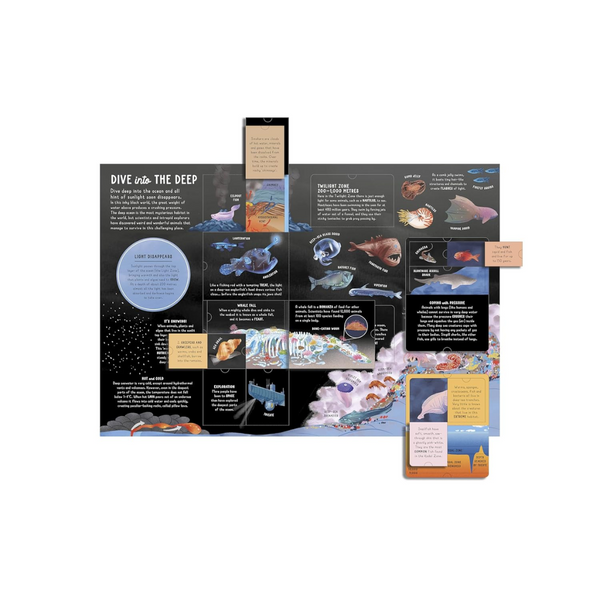 Lift-the-flap Encyclopaedia of Oceans