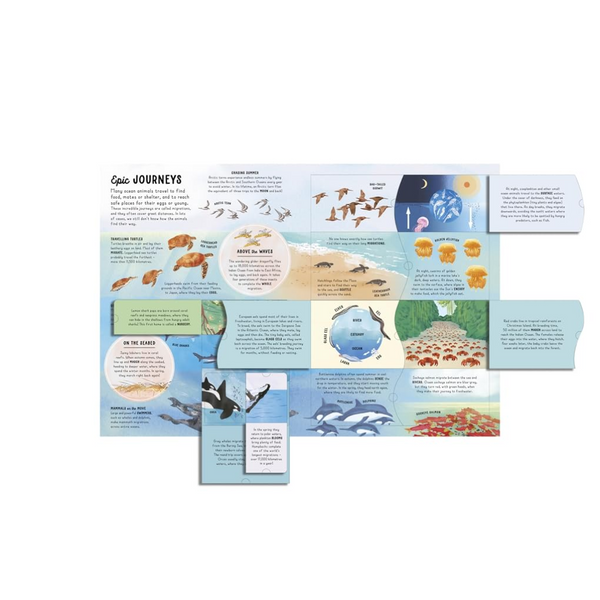 Lift-the-flap Encyclopaedia of Oceans