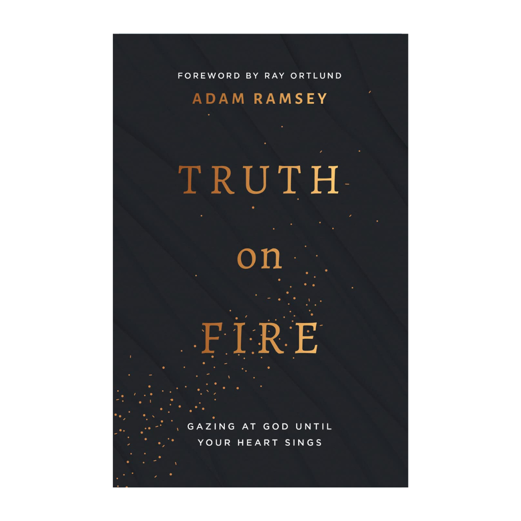 Truth on Fire: Gazing at God Until Your Heart Sings