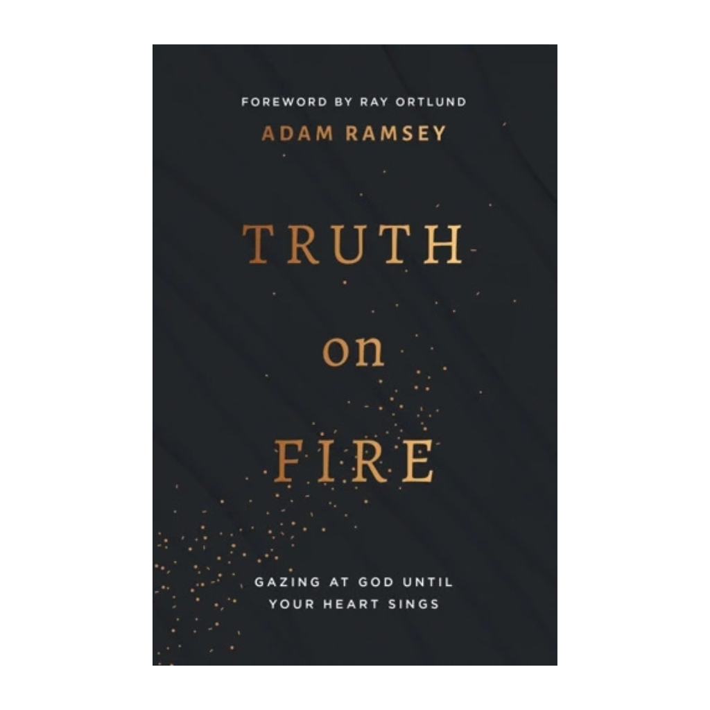 Truth on Fire: Gazing at God Until Your Heart Sings