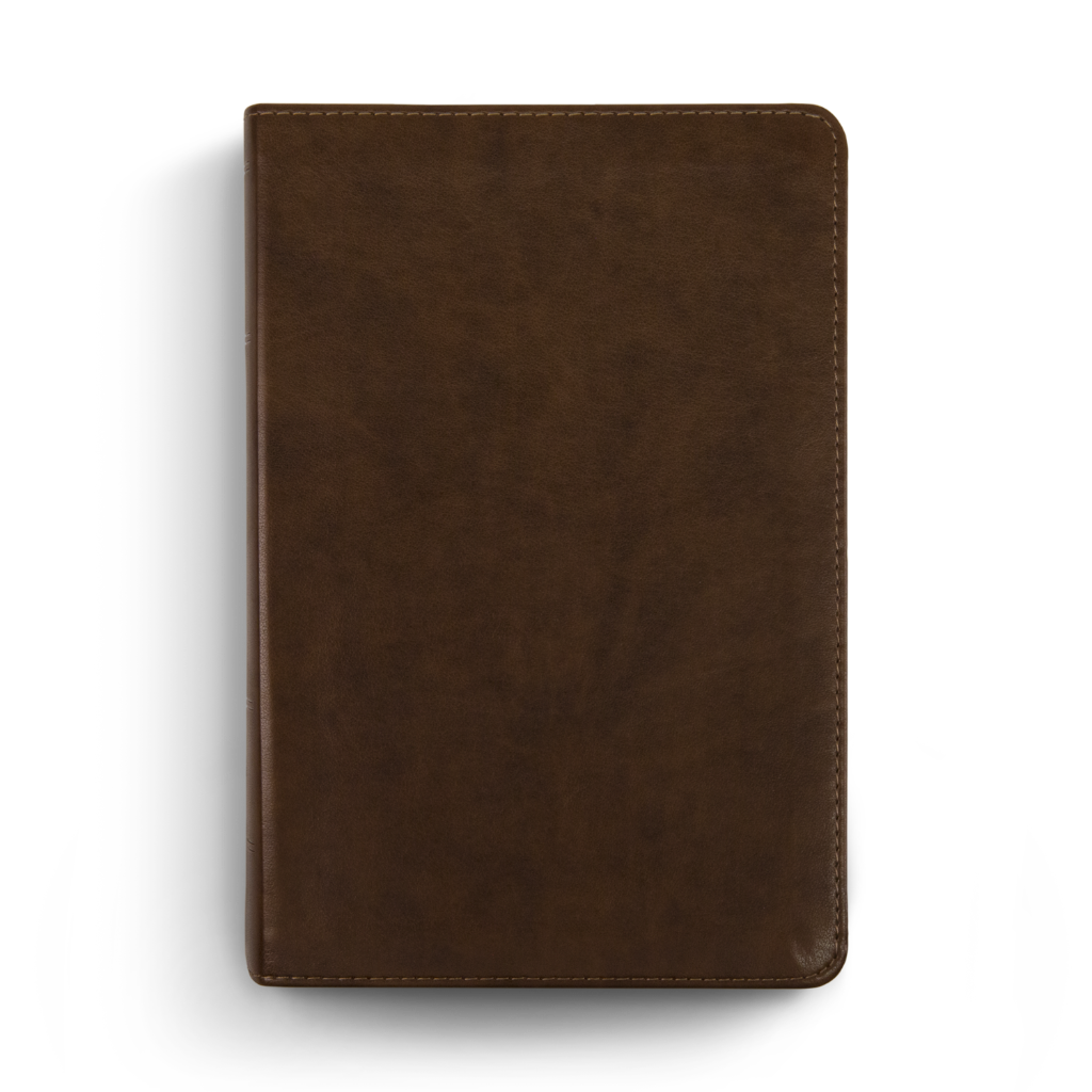 ESV Study Bible, Personal Size, TruTone®, Brown