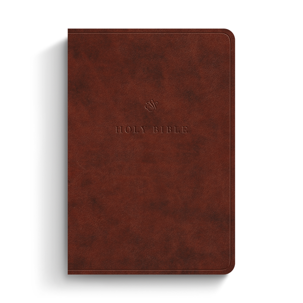 ESV Value Large Print Compact Bible, TruTone®, Chestnut