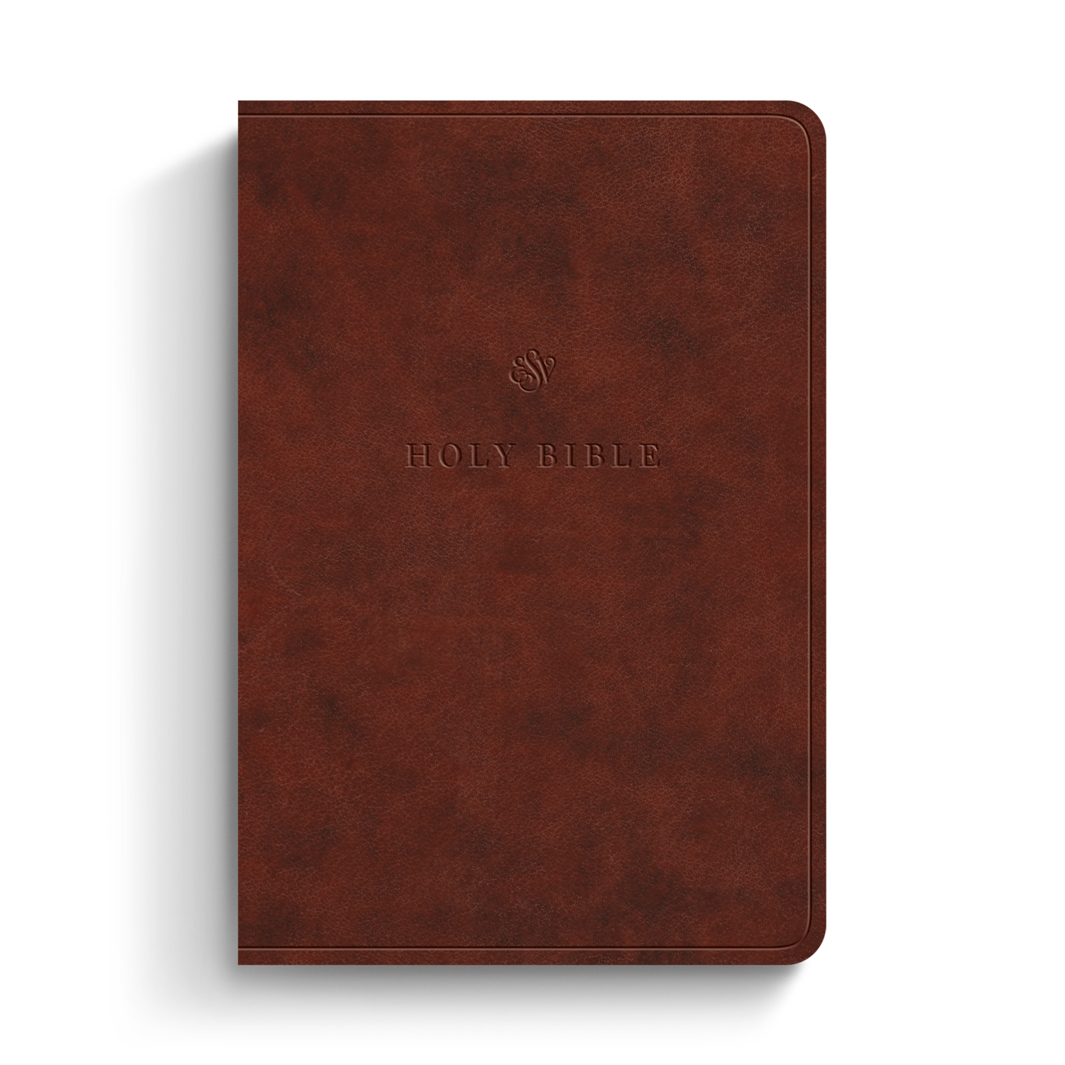 ESV Value Large Print Compact Bible, TruTone®, Chestnut