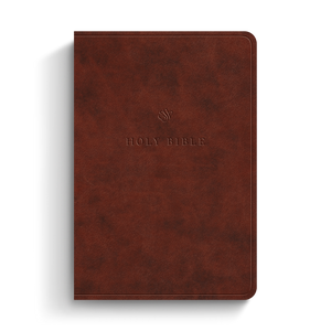 ESV Value Large Print Compact Bible, TruTone®, Chestnut