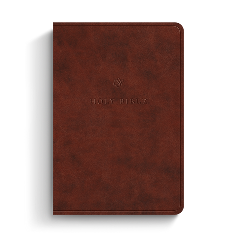 ESV Value Large Print Compact Bible, TruTone®, Chestnut