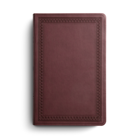 ESV Large Print Value Thinline Bible, TruTone®, Mahogany, Border Design