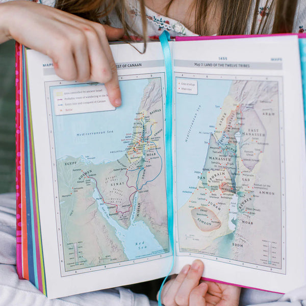 NIrV, Tiny Theologians Bible, Leathersoft over Board, Blue, Comfort Print: A Beginner’s Guide to the Bible