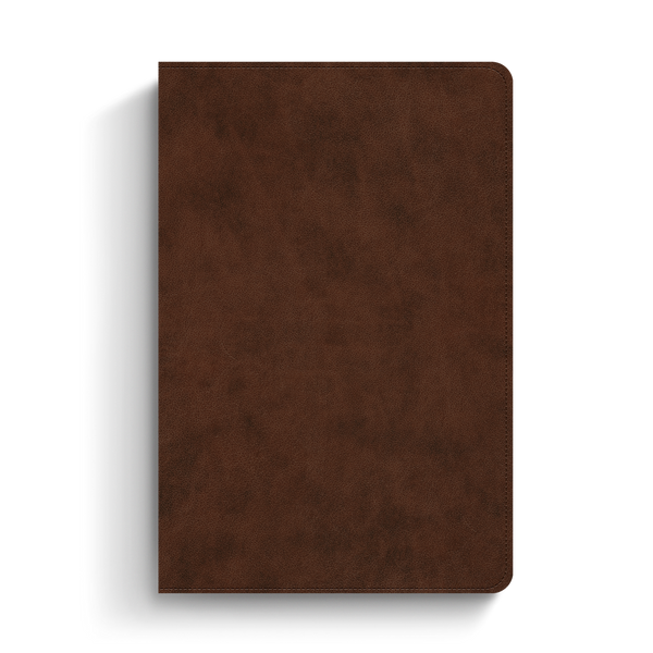 ESV Holy Bible: Dyslexia-Friendly Edition, TruTone, Brown