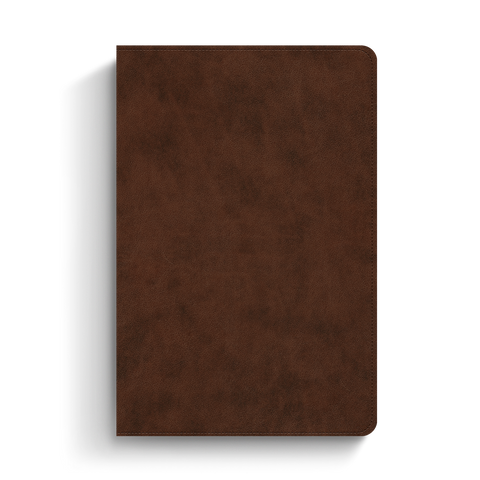 ESV Holy Bible: Dyslexia-Friendly Edition, TruTone, Brown