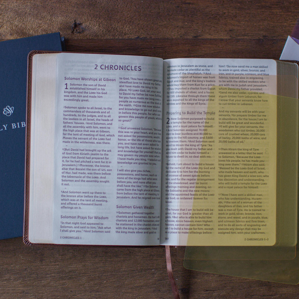 ESV Holy Bible: Dyslexia-Friendly Edition, TruTone, Brown