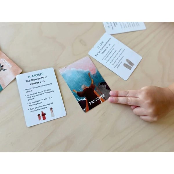 God's Story, Our Story Cards