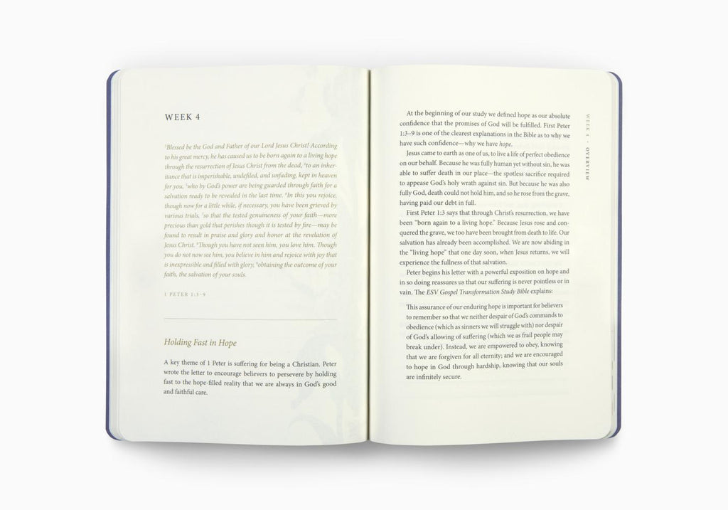 ESV Prayer Journal: 30 Days on Hope