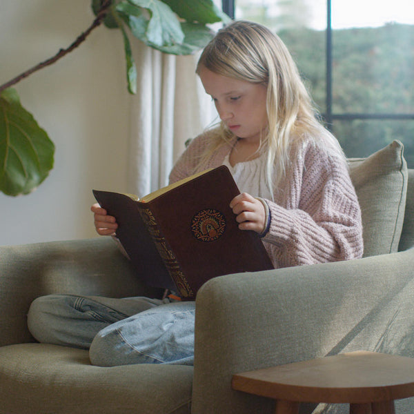 ESV The Biggest Story Holy Bible for Kids